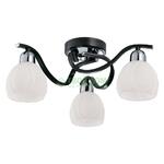 фото Потолочный светильник IDLamp 389/3PF-Blackchrome