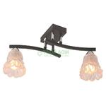 фото Потолочный светильник IDLamp 217/2PF-Blackchrome