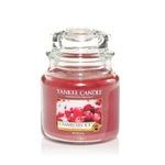 фото Аромасвеча в банке ср.клюква со льдом Yankee candle 1244597e