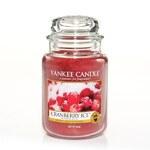 фото Аромасвеча в банке бол.клюква и лёд Yankee candle 1244595e