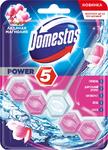 фото Туалетный блок Domestos Power 5 Ледяная магнолия 55 г