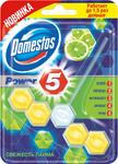 фото Туалетный блок Domestos Power 5 Свежесть лайма 55 г