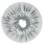фото Блюдо для фруктов koziol, ANEMONE, 32,8 см, серый