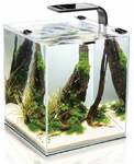 фото Shrimp Set Smart Led Plant II