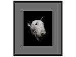 фото Авторская арт-фотография "Bull Terrier #2"