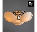 Фото №3 Arte Lamp Soffione A2550PL-6CC