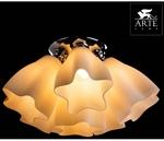 Фото №3 Arte Lamp 17 A3469PL-6CC