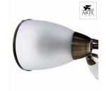 Фото №3 Arte Lamp 3 A6056PL-3AB