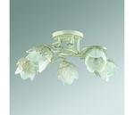 Фото №3 Florana 3002/5C