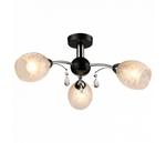 Фото №2 843 843/3PF-Blackchrome