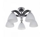 фото на штанге Fayora 287/5PF-Blackchrome