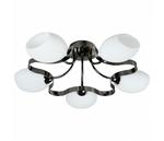 фото 601 601/5PF-SUNDarkchrome