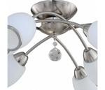 Фото №2 804 804/8PF-Whitechrome
