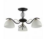 фото на штанге Ragia 554/3PF-Blackpatina
