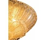 Фото №2 Zucche 820232