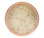 фото Karissa TL9650Y-00PN