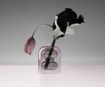 Фото №6 Ваза Tom Dixon Bump Vase Short