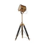 фото Напольный прожектор Spotlight Floor Lamp