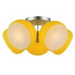 фото ST-Luce Arancio SL482.902.05