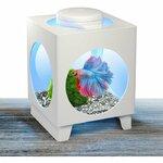 фото Аквариум Tetra Betta Projector 1,8 л (белый)