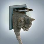 фото Калитка Trixie Дверца для кошек серый 14,7x15,8