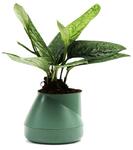 фото Qualy Горшок цветочный Hill Pot, маленький, зеленый