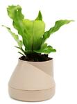 фото Qualy Горшок цветочный Hill Pot, маленький, кремовый