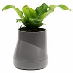 фото Qualy Горшок цветочный Hill Pot, большой, серый