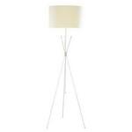 фото Торшер Arte Lamp EASY A1713PN-1SS