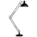 фото Торшер Arte Lamp GOLIATH A2487PN-1BK