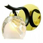 фото Настенное бра N-Light N-Light 438 438-01-31 gold + dark wengue