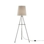 фото Торшер Maytoni Comfort MOD008FL-01N