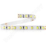 фото Светодиодная лента elf 480smd диодов 2835, 24в, белая 480smd2835nww-hy24