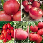 фото Суперпредложение! Набор семян помидоров Малиновое чудо 2 из 5 упаковок