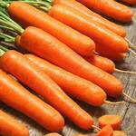 фото Морковь гранулированная Амстердамска