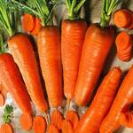 фото Морковь гранулированная Королева осени
