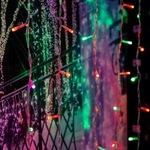 фото Гирлянда neon-night дождь, занавес, 2х2.0м, прозрачный пвх, свечение с динамикой, 200 led rgb 235-349