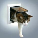 фото TRIXIE Дверца для кошки, 4 функции, белая (15,8 см х 14,7 см)