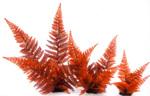 фото Растение пластиковое Папоротник, 30см, красное (30 см)