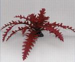 фото Растение шелковое Чертополох, красное 20см (20 см)