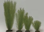 фото Растение шелковое Перистолистник, зеленое (30см)