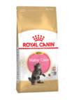 фото ROYAL CANIN Киттен Мэйн Кун д/котят крупных кош (4-12мес.) (10 кг)