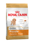 фото ROYAL CANIN Пудель Юниор (от 2мес. до 10мес.) (500 г)