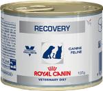 фото ROYAL CANIN Рековери в период анарексии, выздоровления, диета д/кошек и собак (1*8) (195 г)