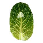 фото Салатник Walmer leaf lettuce w22071323