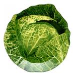 фото Блюдо сервировочное Walmer cabbage w22042021