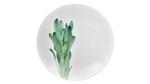 фото Тарелка для пасты Noritake Овощной букет Горчица (NOR1620-Q006WC17-6)