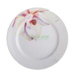 фото Тарелка Porcelaine czech gh YV G094 TD19Х1