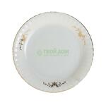 фото Тарелка Porcelaine czech gh IW E302 TD19Х1