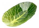фото Салатник Walmer leaf lettuce  w22071626